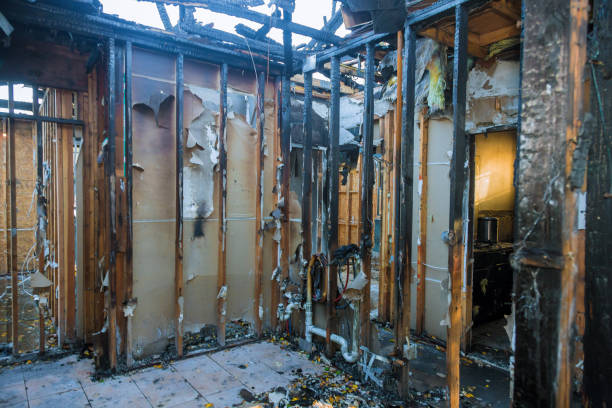 Professional Fire Damage Removal technician working in Medina, WA