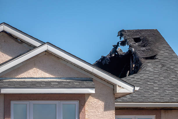Top rated local Fire Damage Removal specialists in Medina, WA